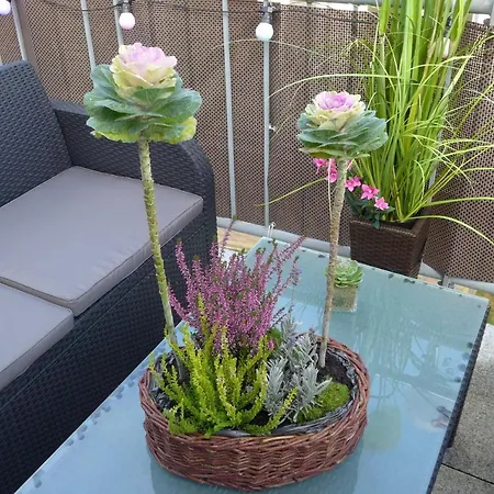 Apartament Silence Baltic Wydmy Baltyku * Pobierowo
